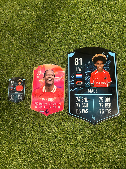 Levolt Skill Card - Unlock Your True Stats